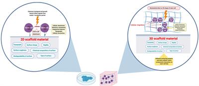 Biomaterials as a Vital Frontier for Stem Cell-Based Tissue Regeneration